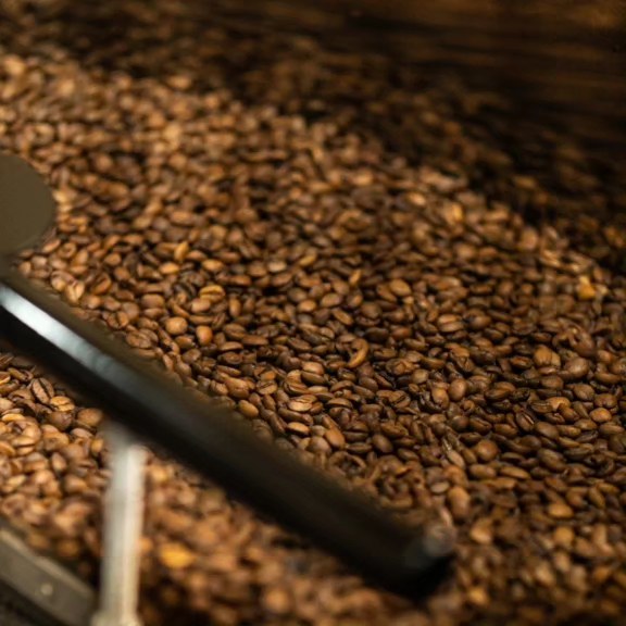 Grãos de Café Rafa Palma torrados